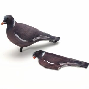 Calza 3D per colombaccio
