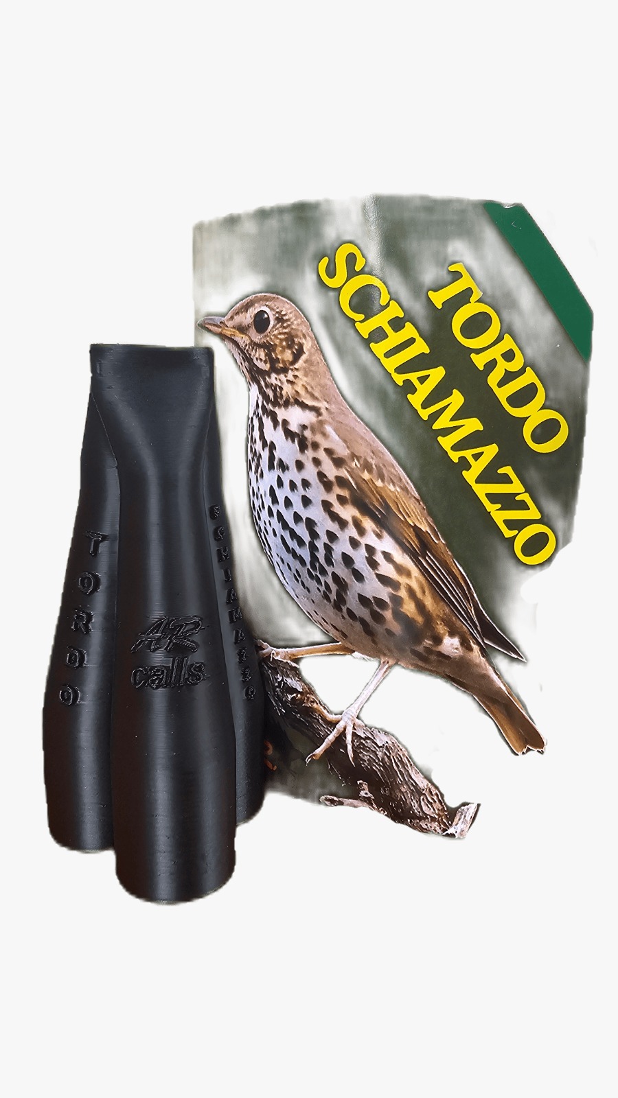 Richiamo del tordo - schiamazzo